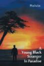 A Young Black Stranger In Paradise - Preview