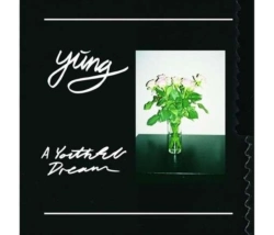 Capa do artigo A Youthful Dream - CD