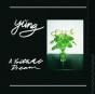 A Youthful Dream - Vinil - Preview