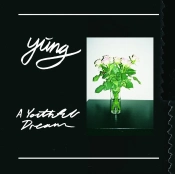 Capa do artigo A Youthful Dream - Vinil