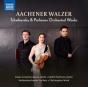 Aachener Walzer: Tchaikovsky & Parfenov Orchestral Works - CD - Preview
