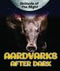 Aardvarks After Dark - Preview