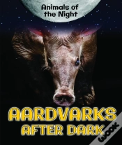 Capa do artigo Aardvarks After Dark