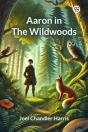Aaron In The Wildwoods (Edition1) - Preview