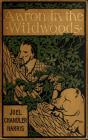 Aaron In The Wildwoods - Preview