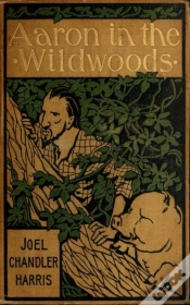 Capa do artigo Aaron In The Wildwoods