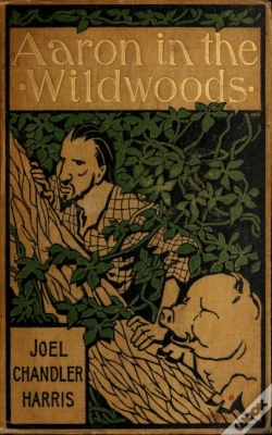 Capa do artigo Aaron In The Wildwoods