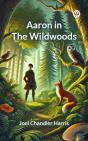 Aaron In The Wildwoods - Preview