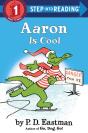 Aaron Is Cool - Preview