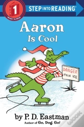Aaron Is Cool