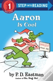 Capa do artigo Aaron Is Cool