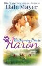 Aaron - Preview