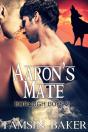 Aaron'S Mate - M/M Paranormal Romance - Preview