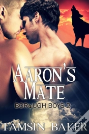 Capa do artigo Aaron