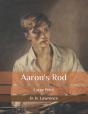 Aaron'S Rod - Preview
