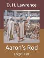 Aaron'S Rod - Preview