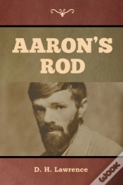 Capa do artigo Aaron