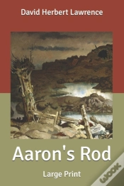 Capa do artigo Aaron