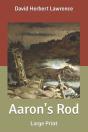 Aaron'S Rod - Preview