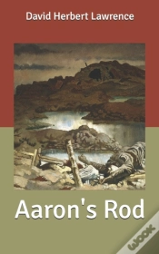 Capa do artigo Aaron