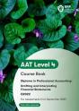 Aat Drafting And Interpreting Financial Statements - Preview