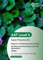 Aat Drafting And Interpreting Financial Statements - Preview