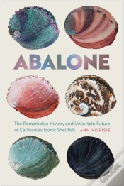 Capa do artigo Abalone