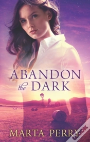 Capa do artigo Abandon The Dark