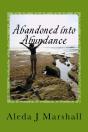 Abandoned Into Abundance - Preview