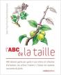 Abc De La Taille (Avec Primee Filmee Avec Le Livre) - Preview