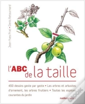 Abc De La Taille (Avec Primee Filmee Avec Le Livre)