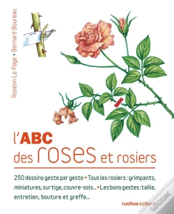 Capa do artigo Abc Des Roses