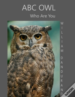Capa do artigo Abc Owl