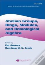 Abelian Groups, Rings, Modules, And Homological Algebra