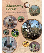 Abernethy Forest - Preview