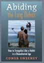Abiding The Long Defeat - Preview