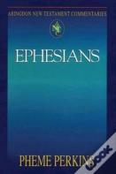 Abingdon New Testament Commentaries