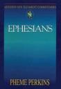 Abingdon New Testament Commentaries - Preview