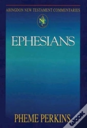 Abingdon New Testament Commentaries