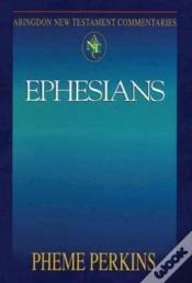 Capa do artigo Abingdon New Testament Commentaries