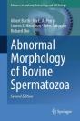 Abnormal Morphology Of Bovine Spermatozoa - Preview
