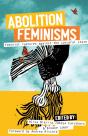 Abolition Feminisms Vol. Ii - Preview