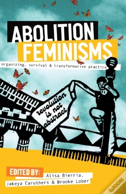 Capa do artigo Abolition Feminisms