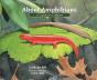 About Amphibians - Preview