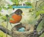 About Birds - Preview