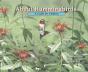 About Hummingbirds - Preview