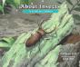 About Insects - Preview