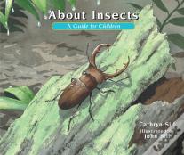 About Insects
