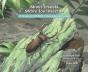 About Insects / Sobre Los Insectos - Preview
