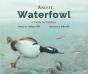 About Waterfowl - Preview